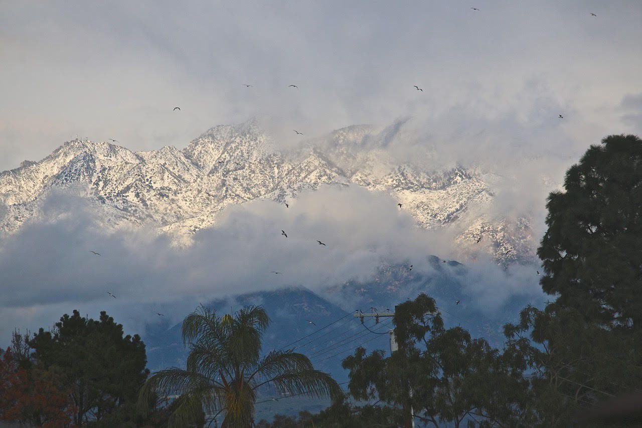 Winter wonderland view